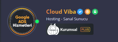 Cloud Viba Google Ads